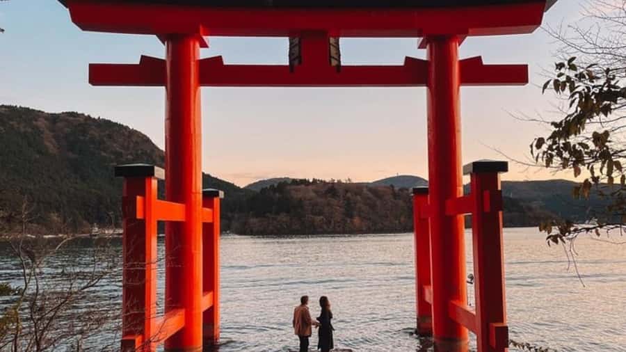 Mount Fuji Private Day Tour customized with English driver - What private service changes for your group
