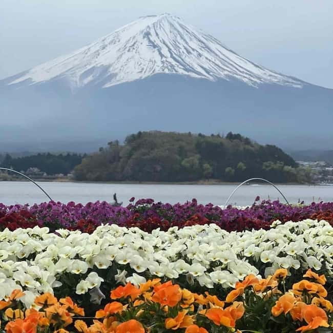 Mount Fuji Private day tour from Tokyo private & Customized - The optional Mount Fuji Fifth Station