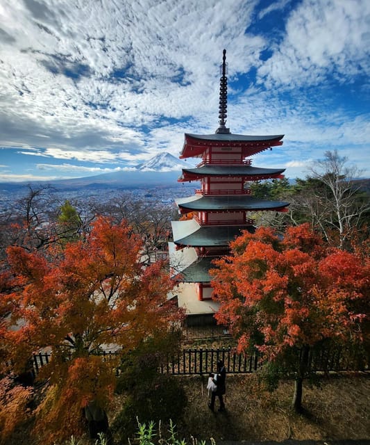 Mount Fuji Private day tour from Tokyo private & Customized - Why a private Fuji day can make sense