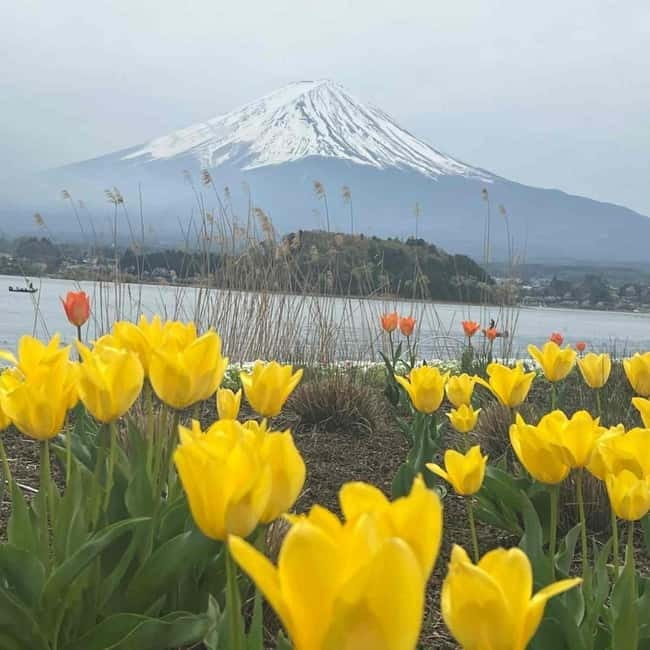 Mount Fuji Private day tour from Tokyo private & Customized - Climbing to Chureito Pagoda