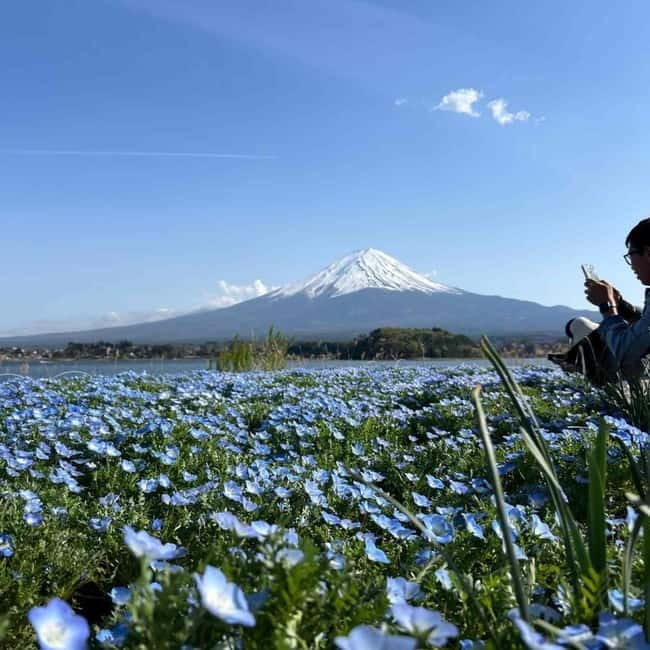 Mount Fuji Private day tour from Tokyo private & Customized - Starting with Oshino Hakkai