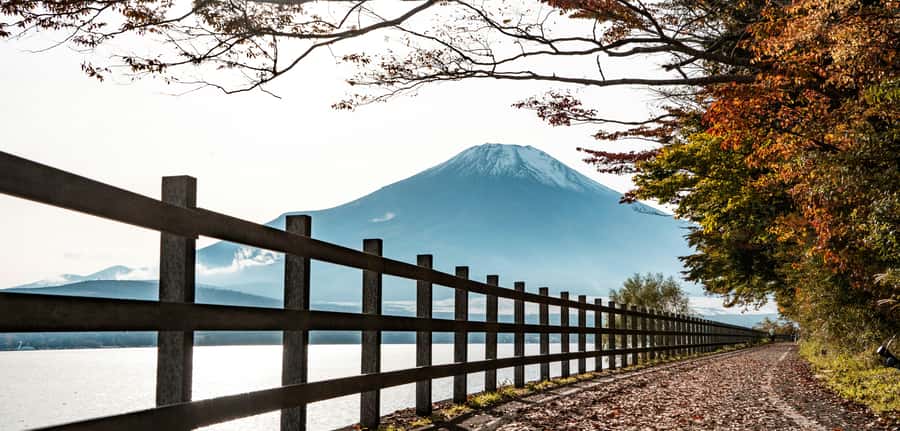 Mount Fuji Private Day Trip With Customizable Itinerary - Why a private Mount Fuji day from Tokyo makes sense