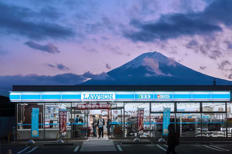 Mount Fuji Private Day Trip With Customizable Itinerary - Mount Fuji viewpoints and the 5th Station