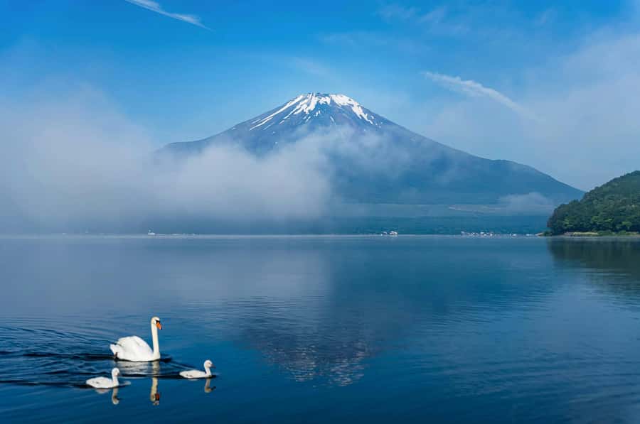 Mount Fuji Private Day Trip With Customizable Itinerary - Value, group size, and who should book