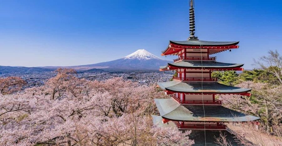 Mount Fuji Trip with English speaking guide ( customizable) - Kitaguchi Hongu Fuji Sengen Shrine under the cedars