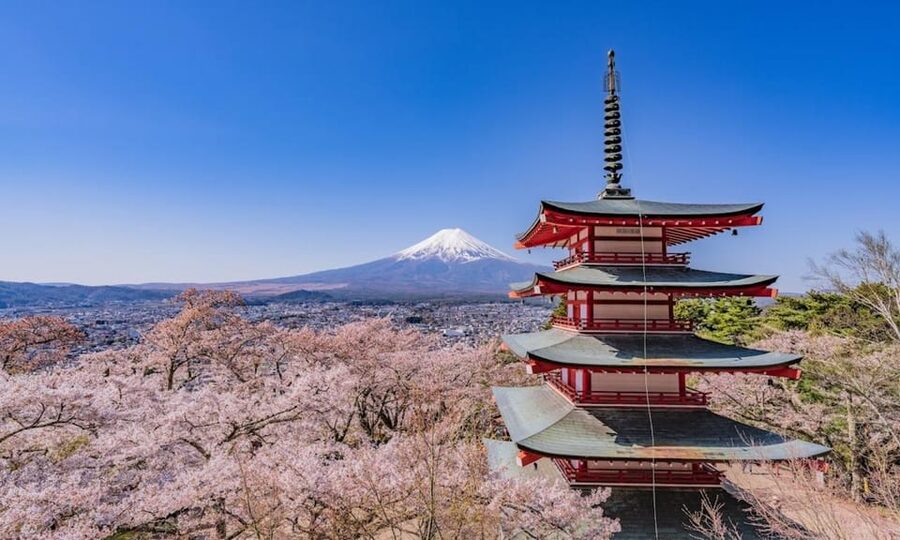Mount Fuji Trip with English speaking guide ( customizable) - Lake Kawaguchiko and Oishi Park