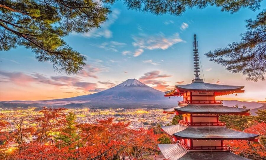 Mount Fuji Trip with English speaking guide ( customizable) - Choosing Hakone instead of trying to do everything