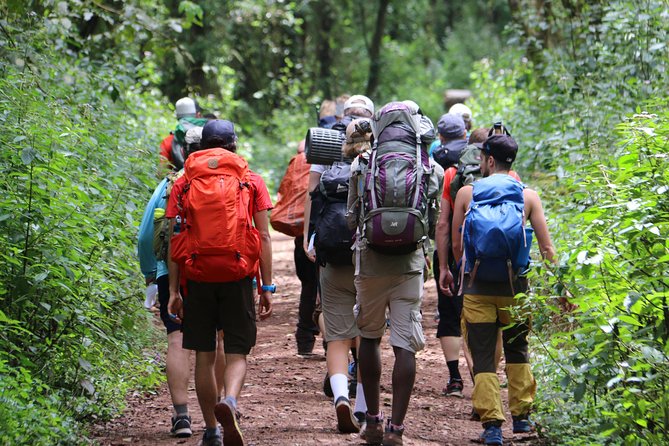 Mount Kilimanjaro Day Hike - The 7am Pickup and Three-Hour Road Journey