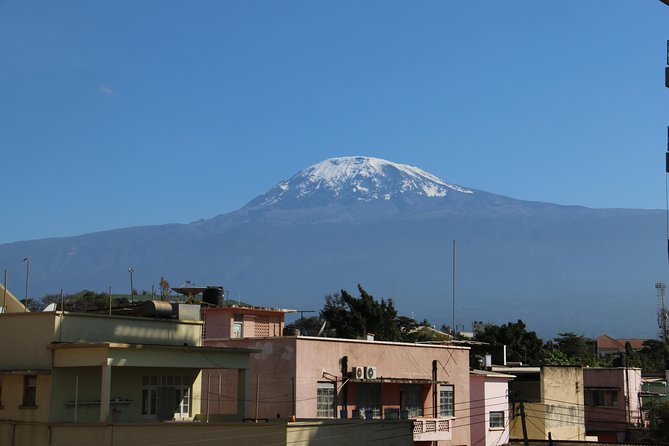 Mount Kilimanjaro Day Hike - Strengths and Weak Spots to Weigh