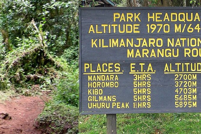 Mount Kilimanjaro Day Hike Through Marangu Route to Mandara Hut - The 6:00 a.m. start from Arusha