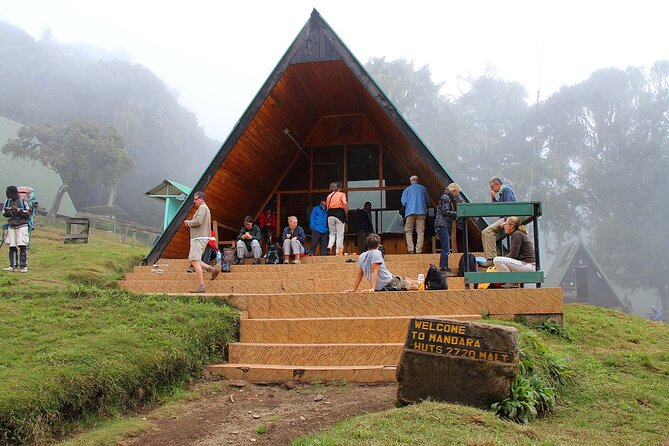 Mount Kilimanjaro Day Hike Through Marangu Route to Mandara Hut - The optional walk to Maundi Crater