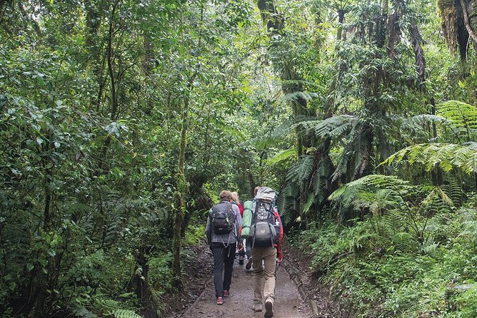 Mount Kilimanjaro Day Hike Through Marangu Route to Mandara Hut - The return to Marangu Gate