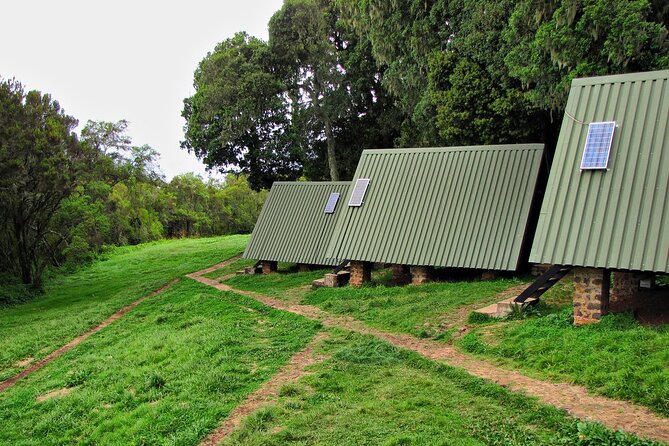 Mount Kilimanjaro Day Hike Through Marangu Route to Mandara Hut - What the $265 price covers