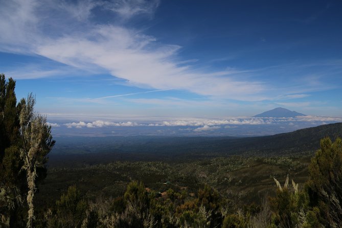 Mount Kilimanjaro Day Hike - The Descent to Marangu Gate