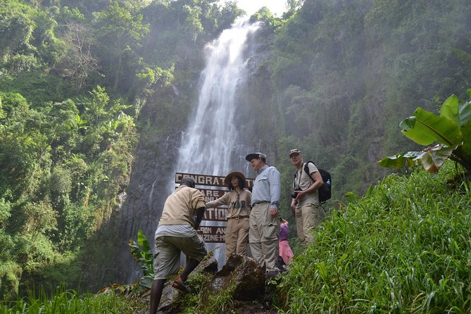 Mount Kilimanjaro day trip trekking - Key points at a glance