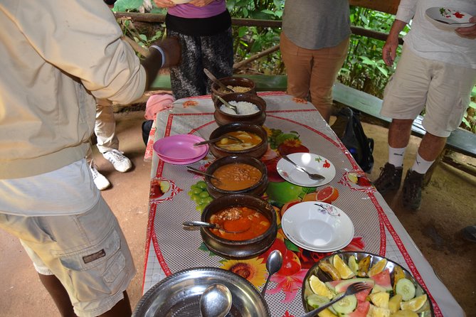 Mount Kilimanjaro day trip trekking - Lunch, drinks, and the $90 price