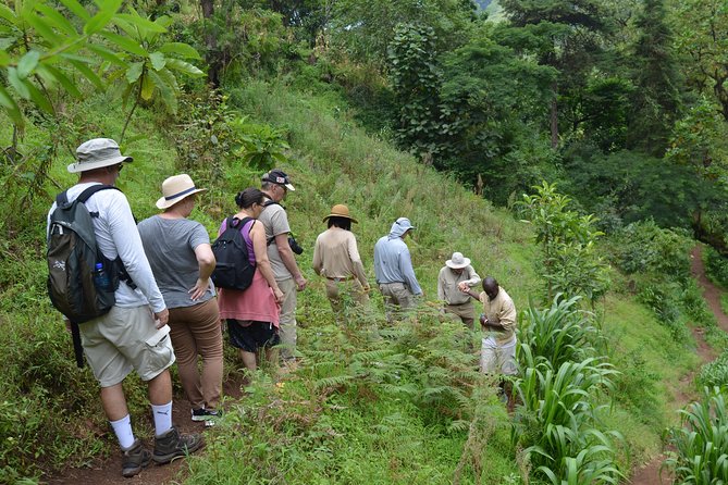 Mount Kilimanjaro day trip trekking - The guide and the small-group advantage