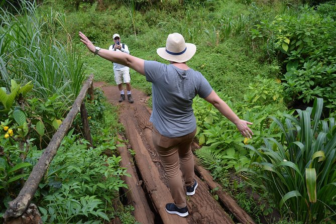 Mount Kilimanjaro day trip trekking - Fitness, clothing, and what to bring