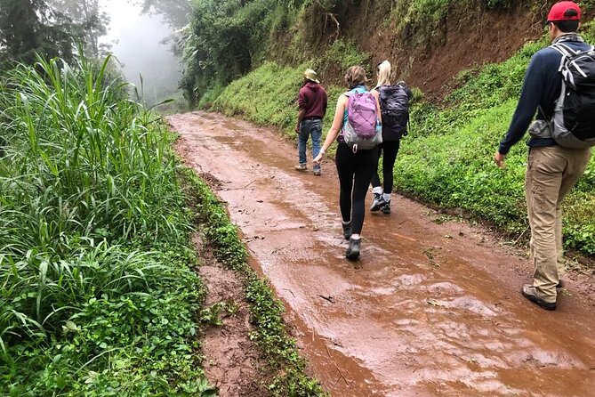 Mount Kilimanjaro day trip trekking - Hiking to Materuni Waterfalls