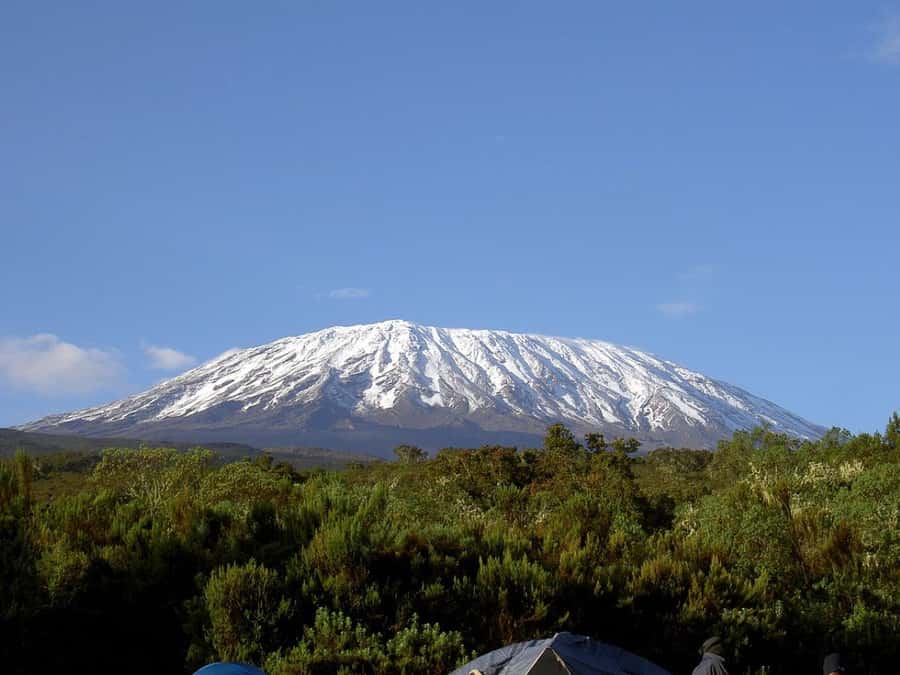 Mount Kilimanjaro National Park Day Trip - Key points at a glance