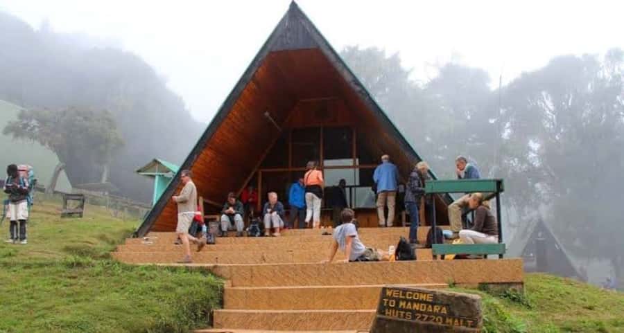 Mount Kilimanjaro National Park Day Trip - A proper taste of Kilimanjaro in one day