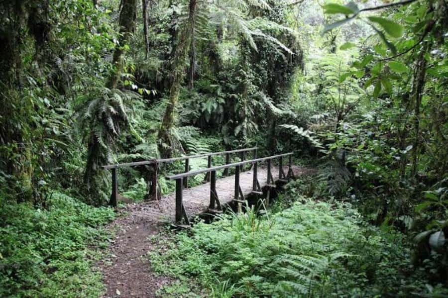 Mount Kilimanjaro National Park Day Trip - What the $405 price really covers
