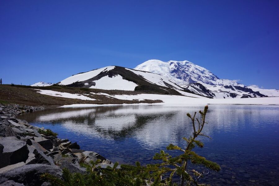 Mount Rainier: Day Hike on the Mountain - Key points to know before booking