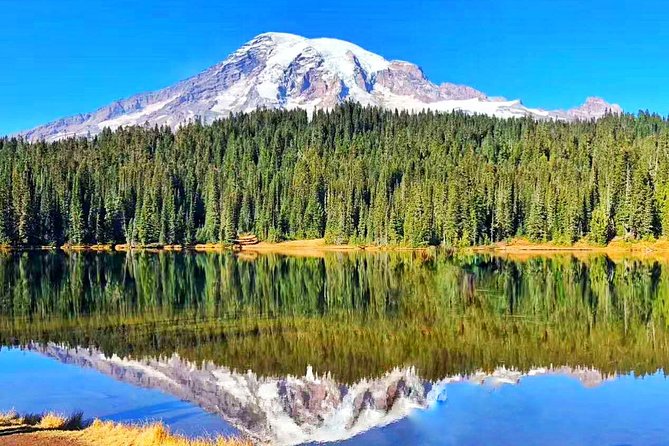 Mount Rainier National Park Day Tour from Seattle - Key points to know before booking