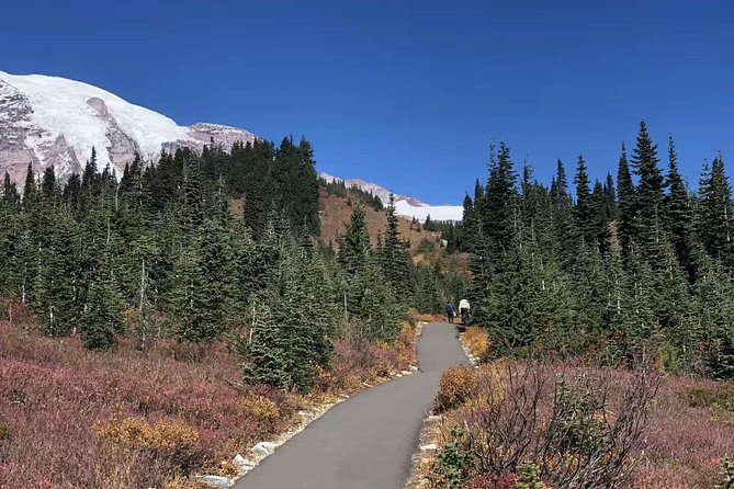 Mount Rainier National Park Day Tour from Seattle - The ride from Seattle and what to expect