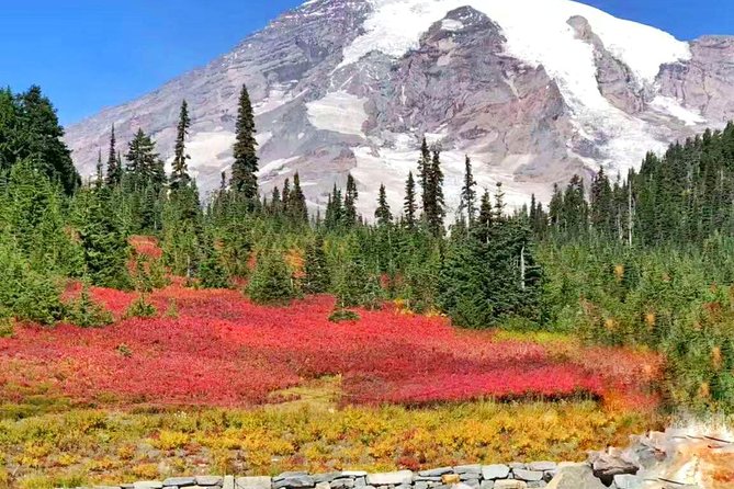 Mount Rainier National Park Day Tour from Seattle - Reflection Lakes is small, calm, and weather-dependent