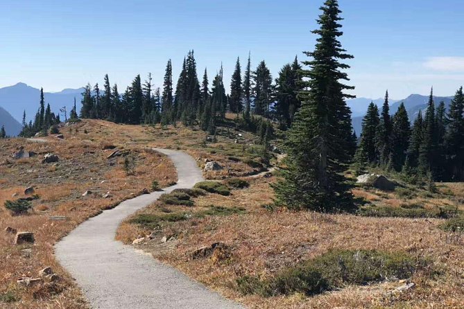 Mount Rainier National Park Day Tour from Seattle - The winter route is shorter but can still be rewarding