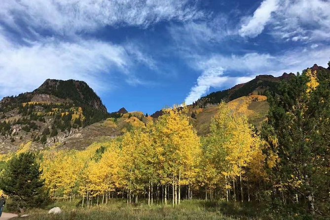 Mount Rainier National Park Day Tour from Seattle - Longmire Museum gives you the park’s backstory