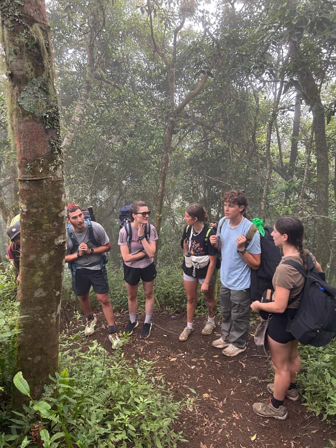 Mount Rinjani: 2D-1N Trekking Summit Sunrise Point Join Tour - The 2:00 a.m. wake-up sets the tone