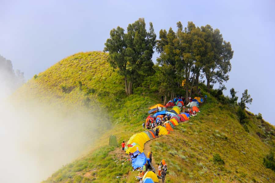 Mount Rinjani: 2D/1N Trekking To Sembalun Or Senaru Views - Key points to know before booking