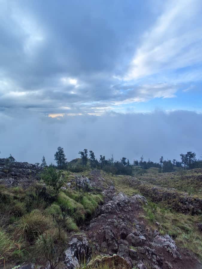 Mount Rinjani: 2D/1N Trekking To Sembalun Or Senaru Views - What this Mount Rinjani trek is really like