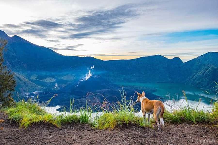 mount rinjani One day trek - Is $138 a fair price?