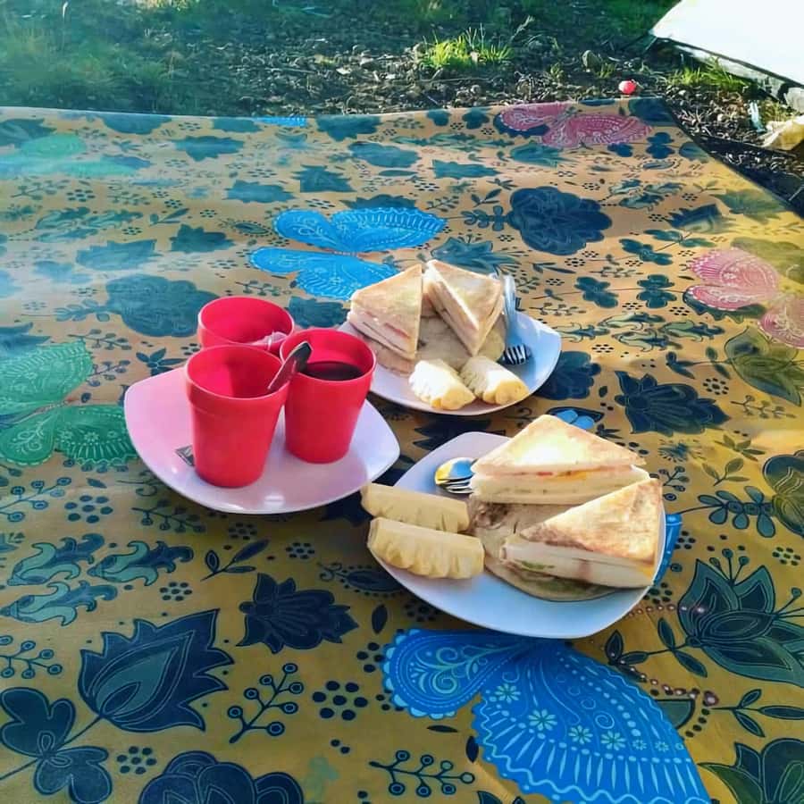 Mount Rinjani Summit Tour With Guide. - Day one: from Sembalun village to the crater rim