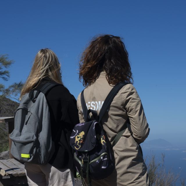 Mount Vesuvius: Skip-the-Line Ticket and Smart Digital Guide - Key points to know before booking