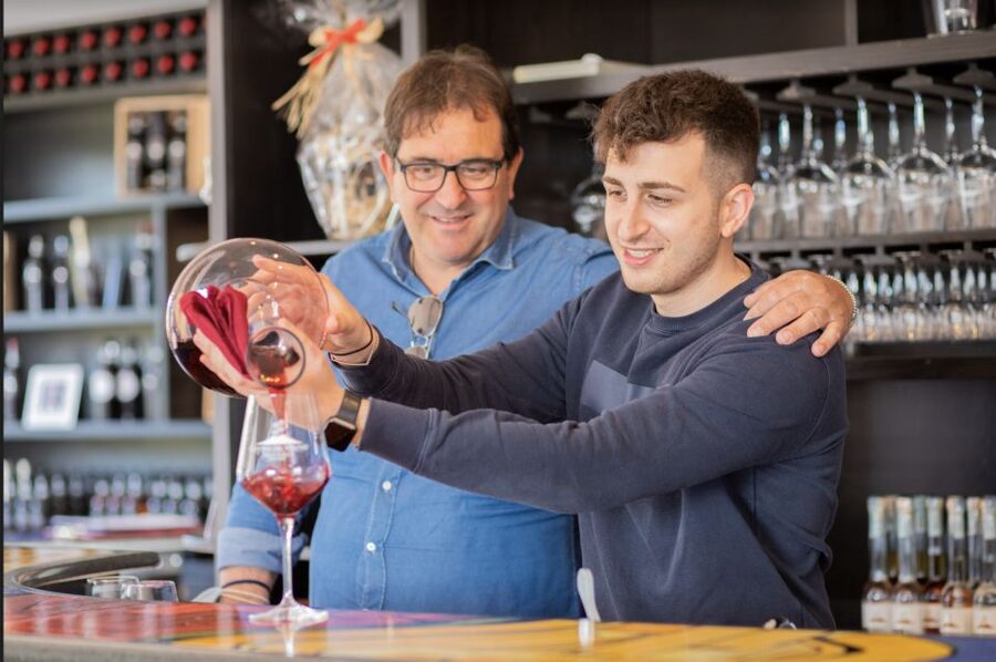 Mount Vesuvius: Vineyard Tour with Wine Tasting and Lunch - A vineyard on the slopes of Vesuvius