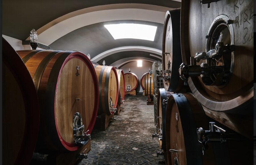 Mount Vesuvius: Vineyard Tour with Wine Tasting and Lunch - Lunch with olive oil, pasta, and local flavor