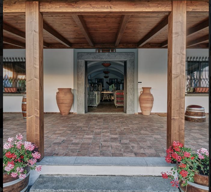 Mount Vesuvius: Vineyard Tour with Wine Tasting and Lunch - Timing and pace