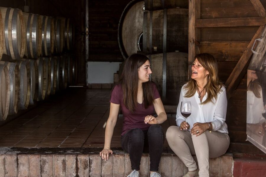 Mount Vesuvius: Vineyard Tour with Wine Tasting and Lunch - Is $65 a fair price?