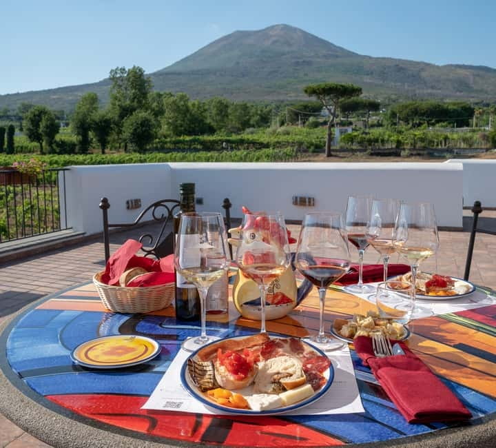 Mount Vesuvius: Vineyards Tour with Wine Tasting and Lunch - Booking and timing tips