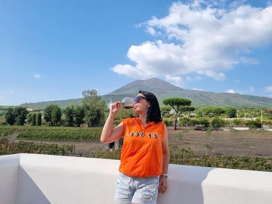 Mount Vesuvius: Vineyards Tour with Wine Tasting and Lunch - Walking the vines with Mount Vesuvius in view