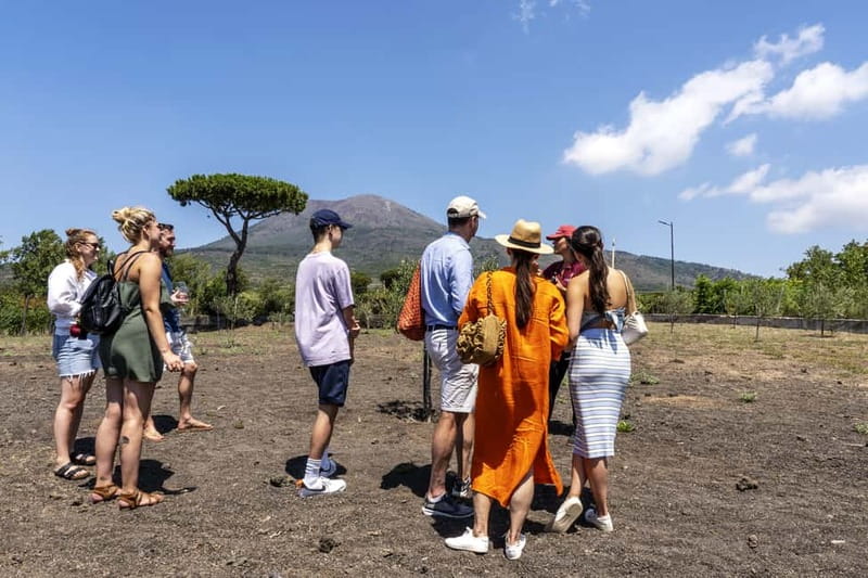 Mount Vesuvius: Vineyards Tour with Wine Tasting and Lunch - Is $73 a fair price?