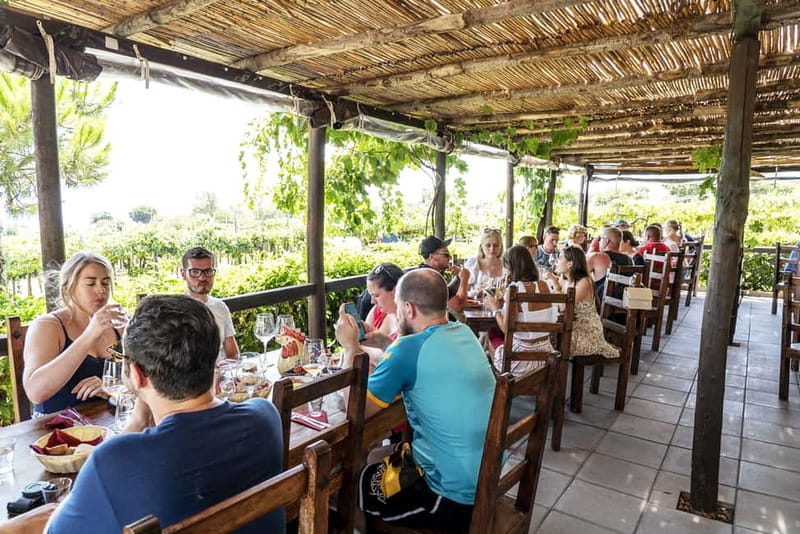 Mount Vesuvius: Vineyards Tour with Wine Tasting and Lunch - Who should book this Vesuvius experience?