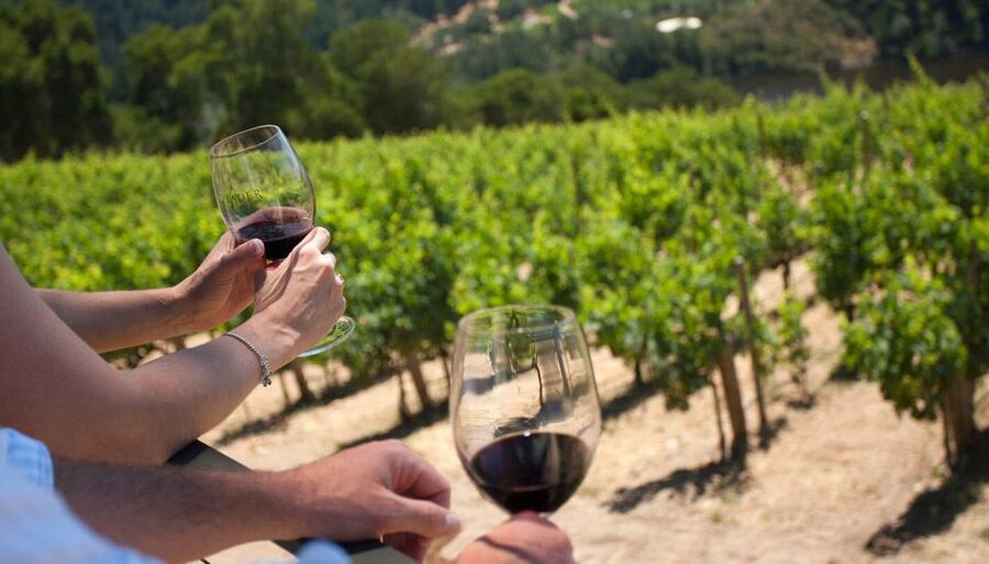 Mount Vesuvius Wine Tour with Tastings and Lunch - Should you book the Mount Vesuvius wine tour?