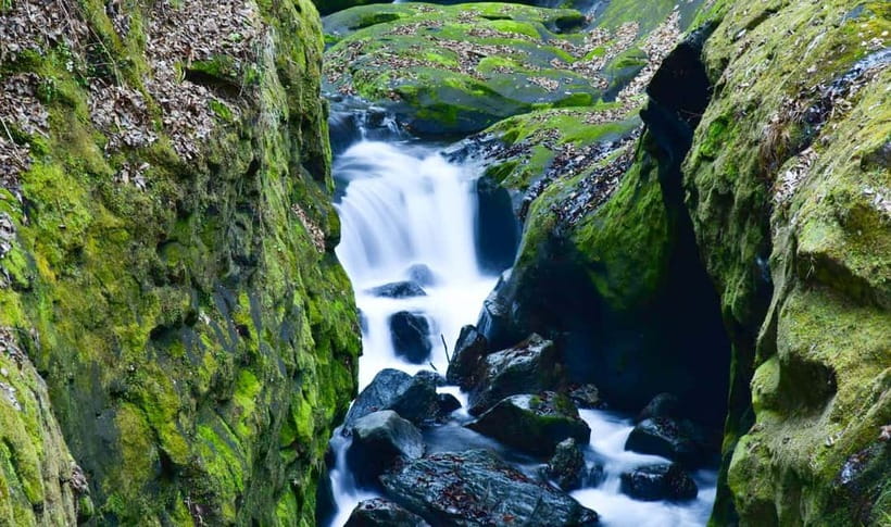 Mt. Aso & Takachiho Gorge Tour with Optional Boat Ride - Takachiho Gorge by boat or on foot