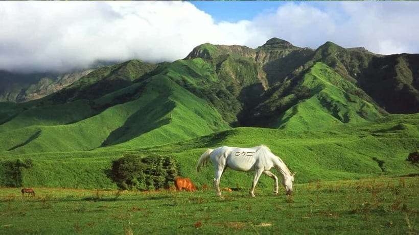 Mt. Aso & Takachiho Gorge Tour with Optional Boat Ride - The bus ride is part of the bargain