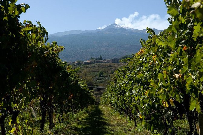 Mt Etna and Wine tasting tour from Catania - The Silvestri craters and Parco dell’Etna